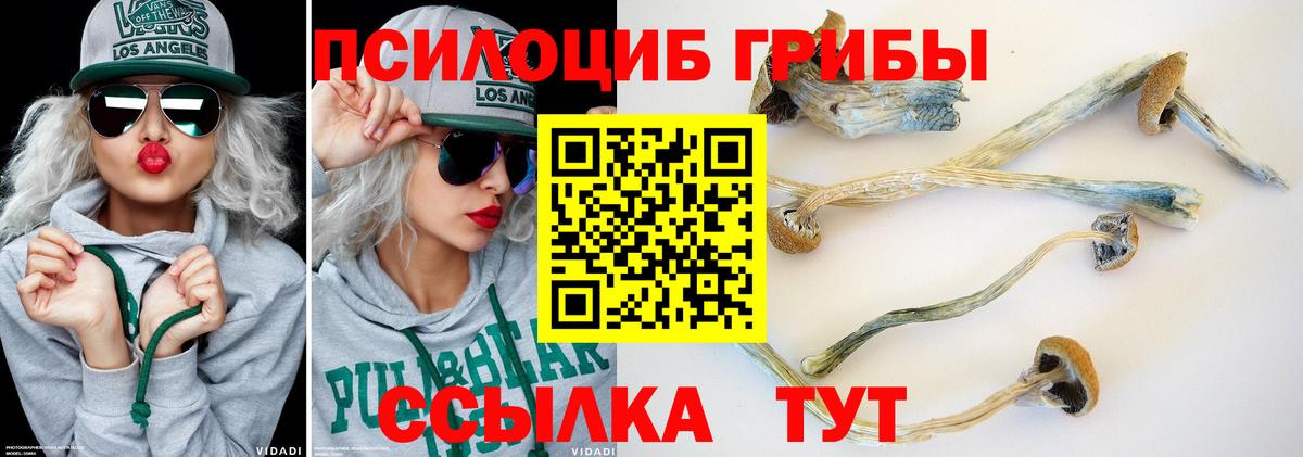 Галлюциногенные грибы ЛСД Нальчик